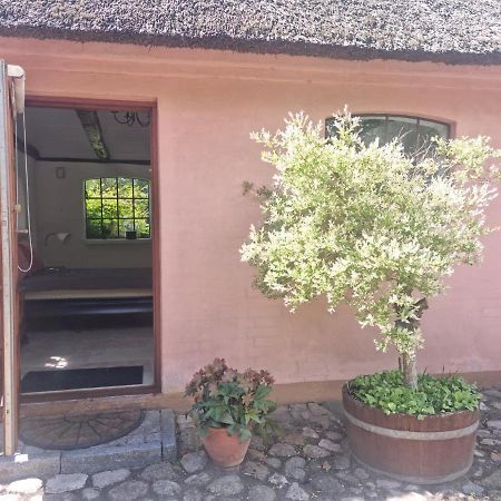 Liebhaveri I Saerklasse Årup Exterior photo