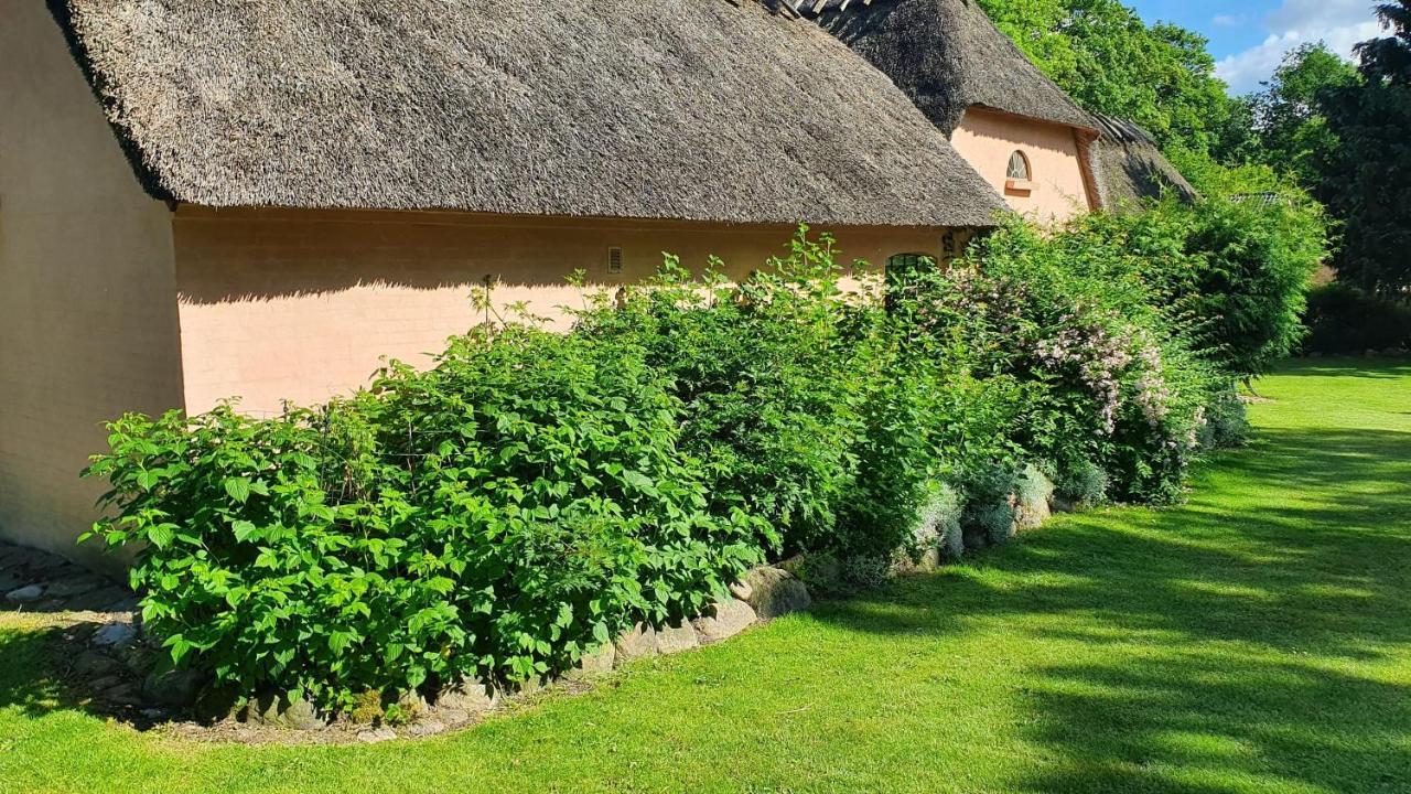 Liebhaveri I Saerklasse Årup Exterior photo